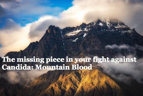 The missing piece in your fight against Candida: SHILAJIT by Mountain Blood - Nature Provides