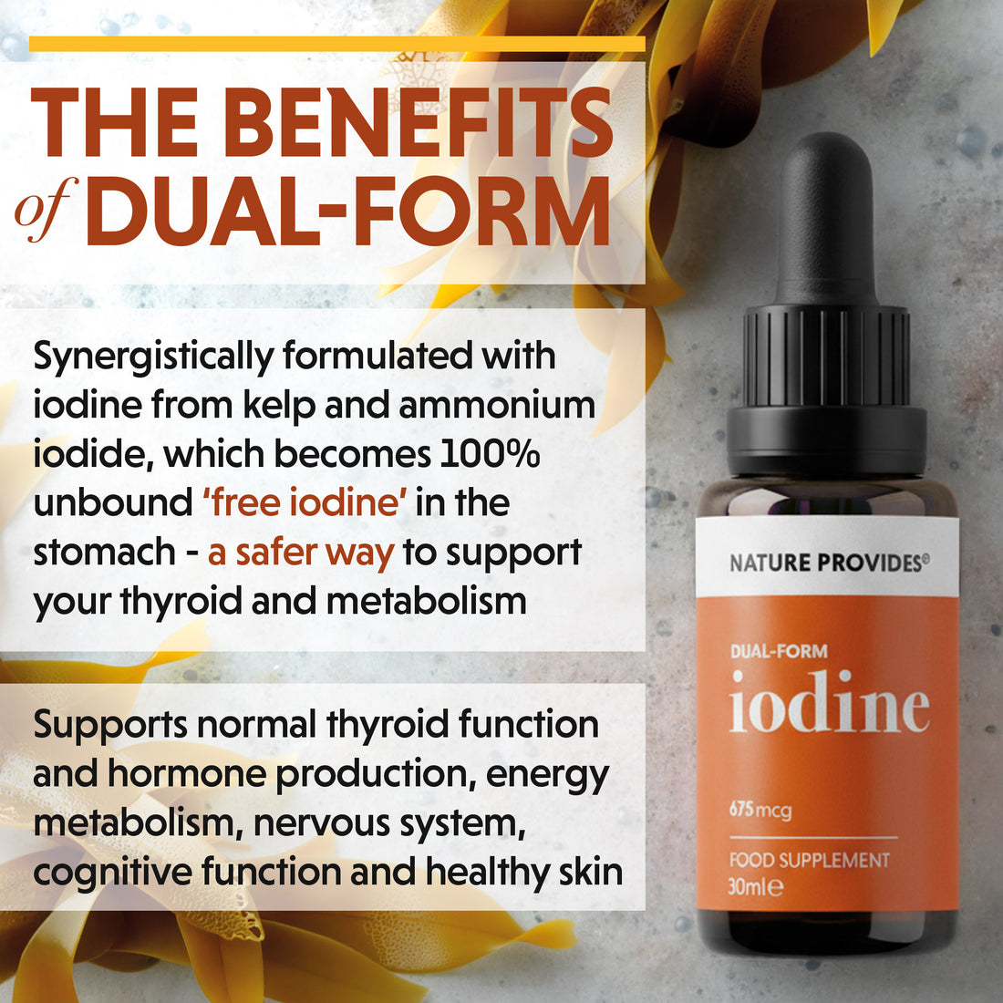 Dual-Form Iodine (675mcg) Extracted From Natural Kelp - 30ml