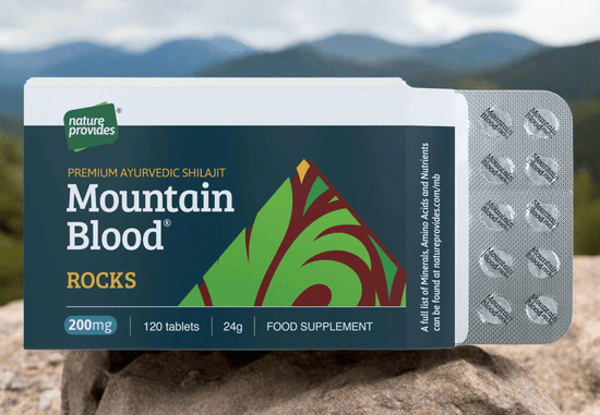 Mountain Blood® Rocks - Premium Ayurvedic Shilajit - 120 x 200mg tablets - Nature Provides